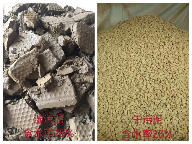 德尔科述为什么要对污泥进行烘干处理呢?(图1)